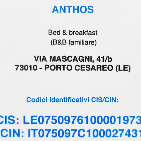 Bed Anthos Porto Cesareo Panzió Kültér fotó